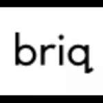 briq logo (1)